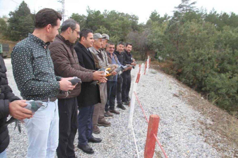 Yasa dışı canlı mühre ile avlanan şahin doğal yaşam alanına bırakıldı