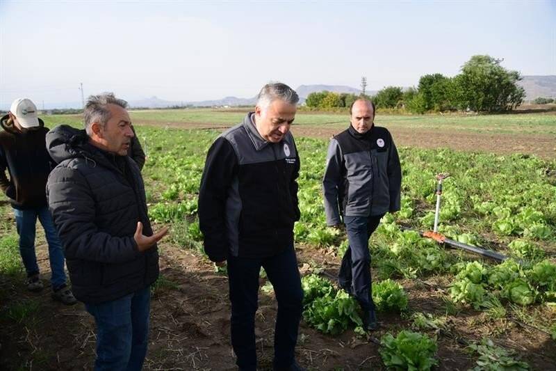 Kayseri’de ilk kez "ıceberg marul" ekildi