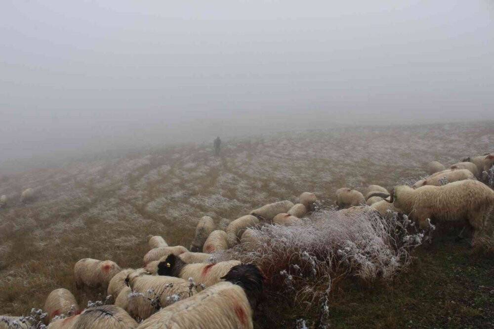 Ordu’ya mevsimin ilk karı yağdı