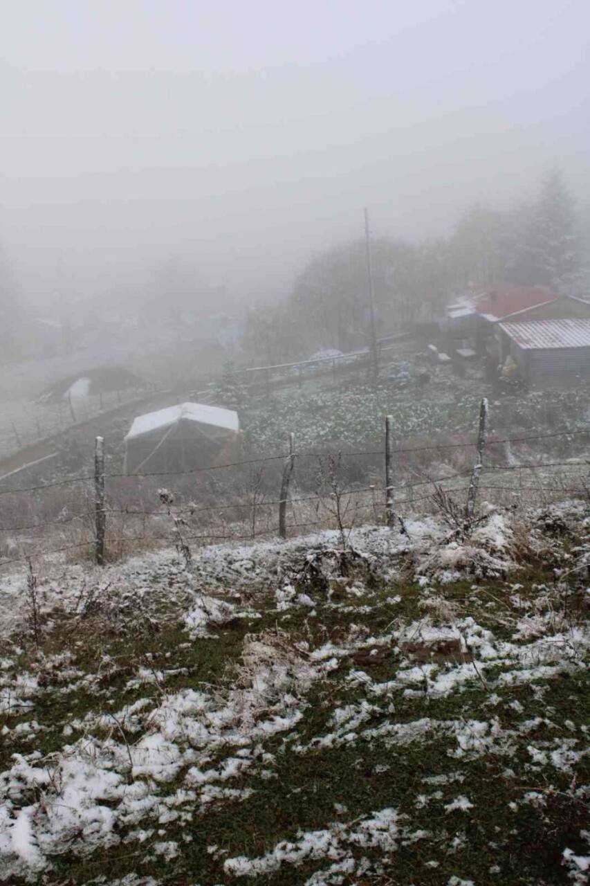 Ordu’ya mevsimin ilk karı yağdı
