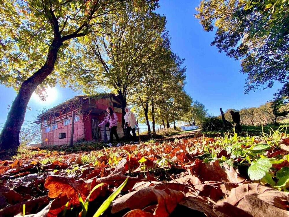 Düzce’de sonbaharın tadını ormanda yürüyerek çıkarttılar