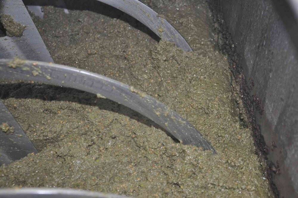 Aydın’da zeytinyağı sıkım sezonu başladı