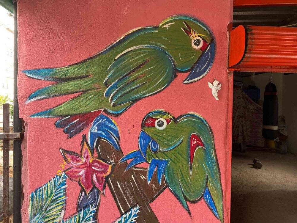 Doktor tavsiyesiyle ressam olan üniversiteli genç mahalleyi açık hava sergisine çevirdi