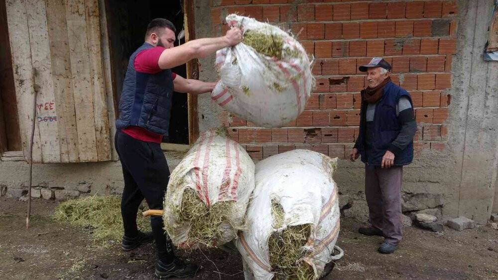 Profesyonel kick boksçu Muhammed Dursun, yaylada kondisyon depoladı