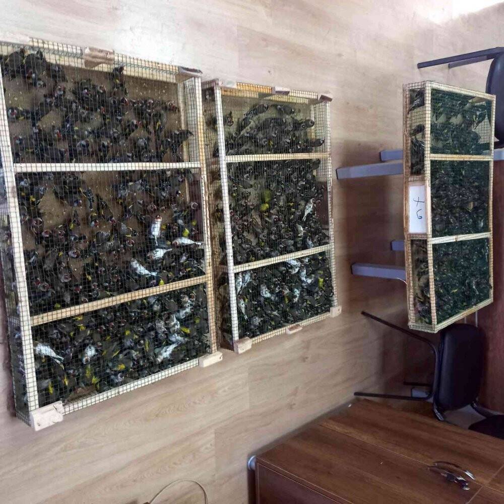 Sınır kapasında saka kuşu operasyonu