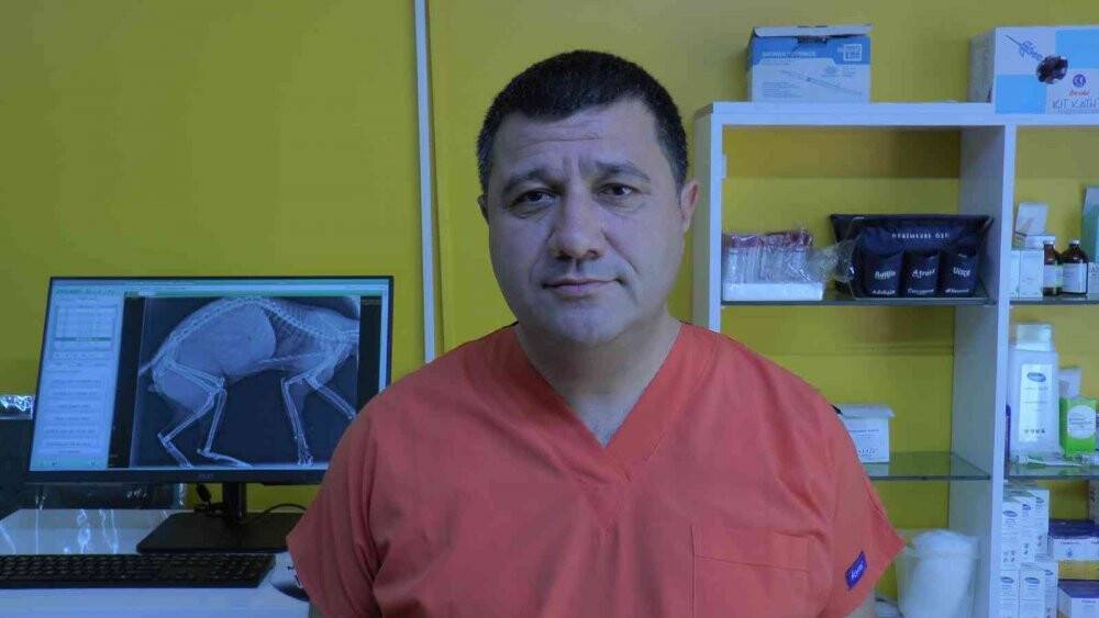 "Aracı çalıştırmadan önce motor kaputuna vurun”