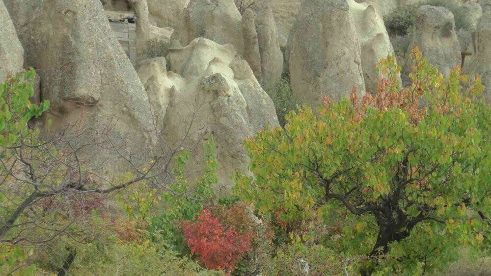 Kapadokya’da sonbahar güzelliği