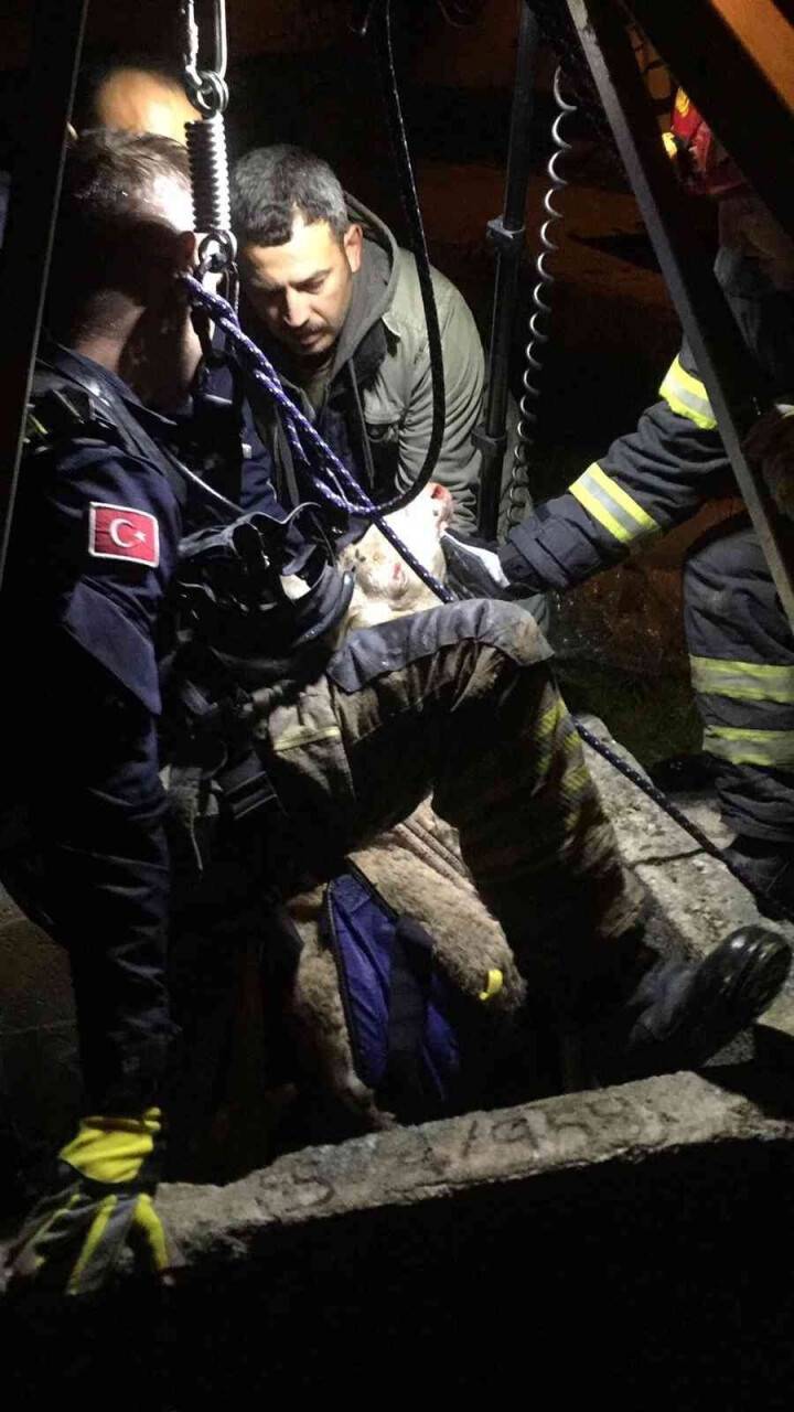 Kuyunun dibindeki koyunu itfaiye kurtardı