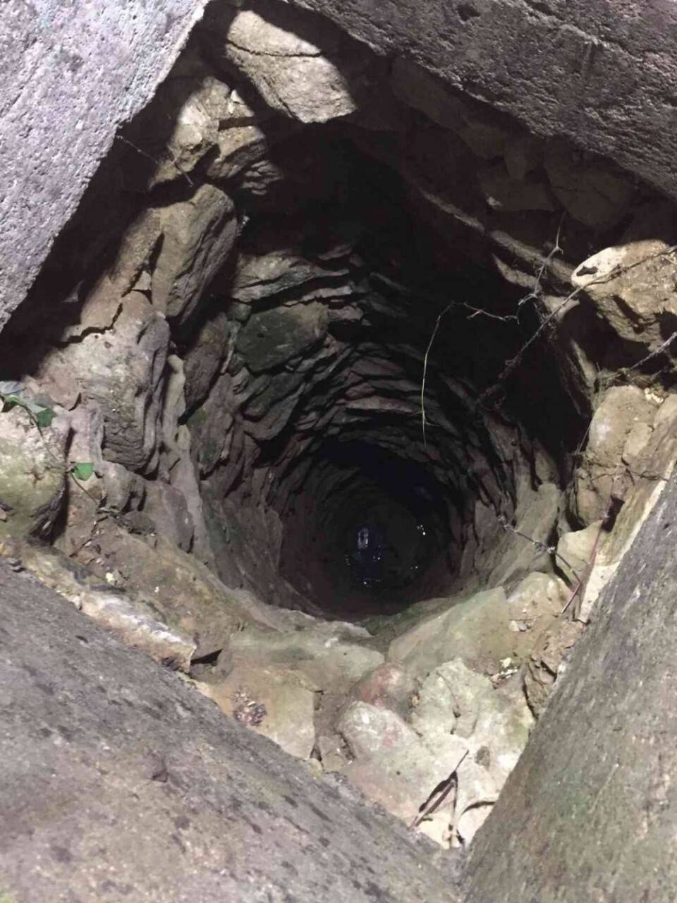 Kuyunun dibindeki koyunu itfaiye kurtardı