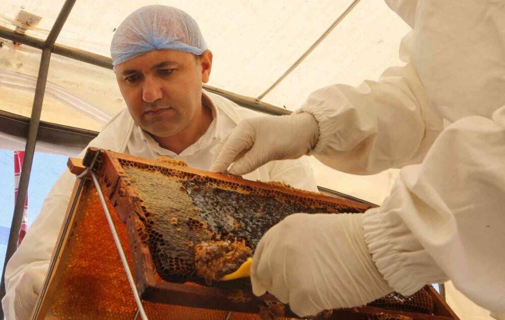 Eğriçayır yaylası balının Anti Mikrobiyal olduğu tescillendi