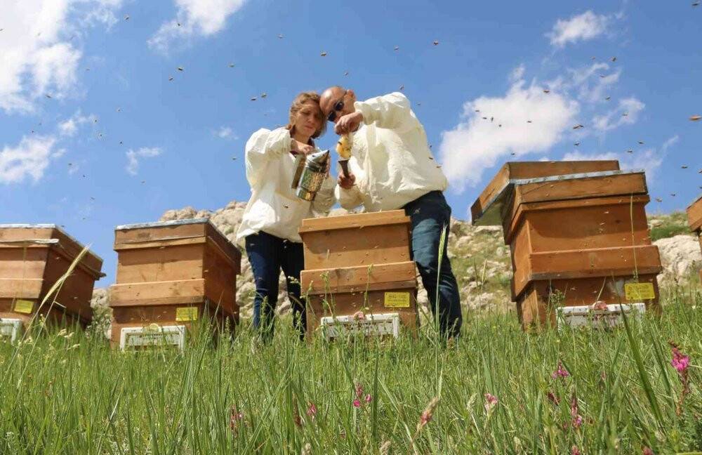 Eğriçayır yaylası balının Anti Mikrobiyal olduğu tescillendi