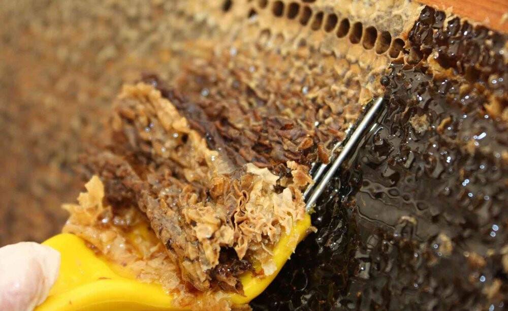 Eğriçayır yaylası balının Anti Mikrobiyal olduğu tescillendi