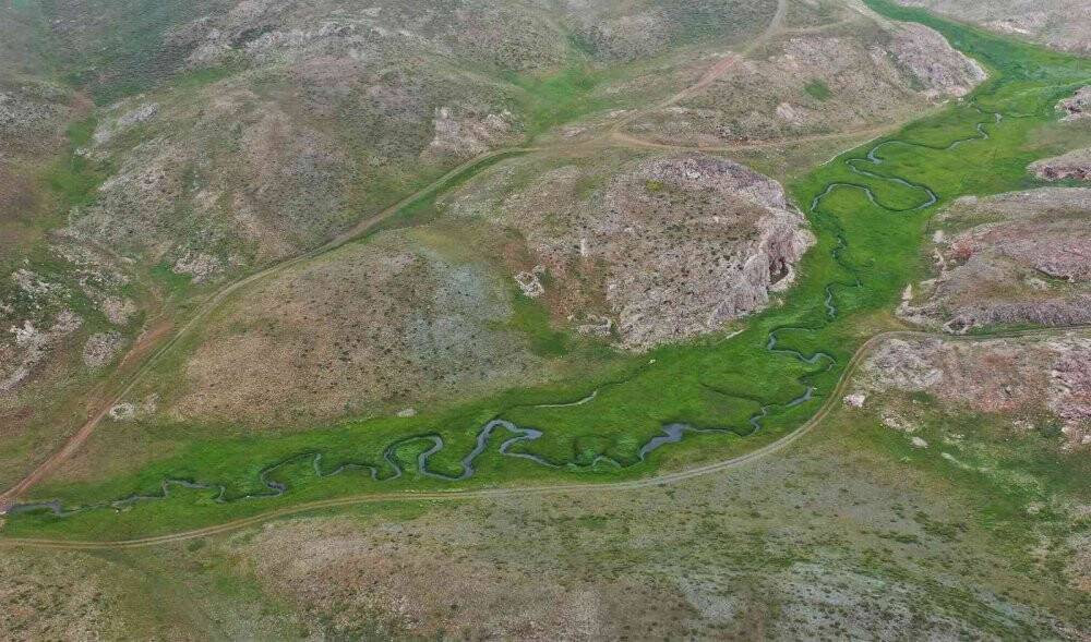 Eğriçayır yaylası balının Anti Mikrobiyal olduğu tescillendi