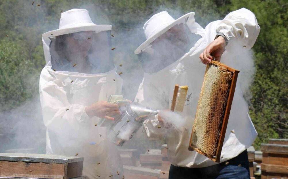 Eğriçayır yaylası balının Anti Mikrobiyal olduğu tescillendi