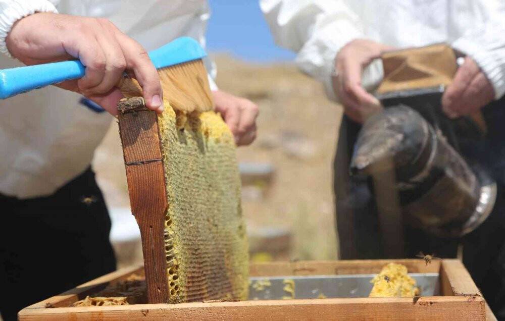 Eğriçayır yaylası balının Anti Mikrobiyal olduğu tescillendi