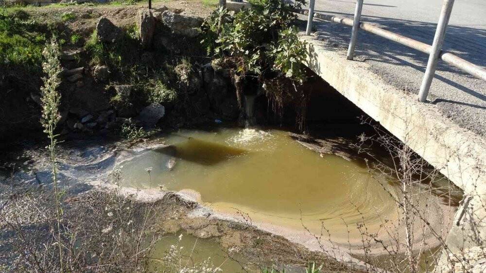 Manavgat’ta sulama kanalında balık ölümleri