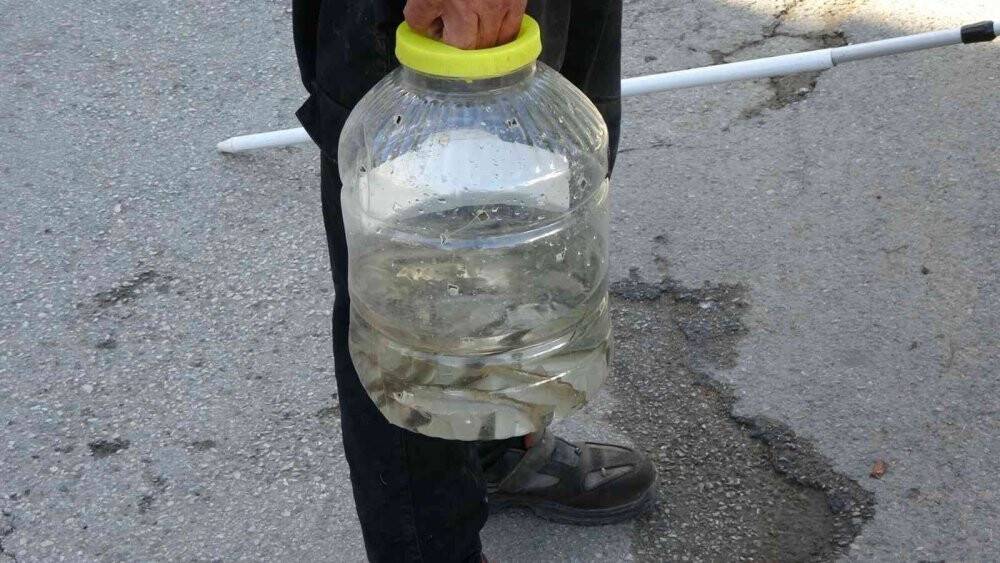 Manavgat’ta sulama kanalında balık ölümleri