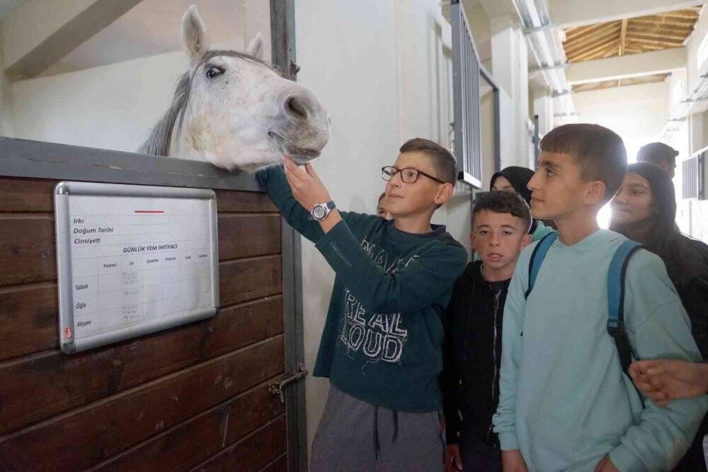 Hayatında hiç at görmeyen öğrenciler, ata binerek sınav stresini atıyor