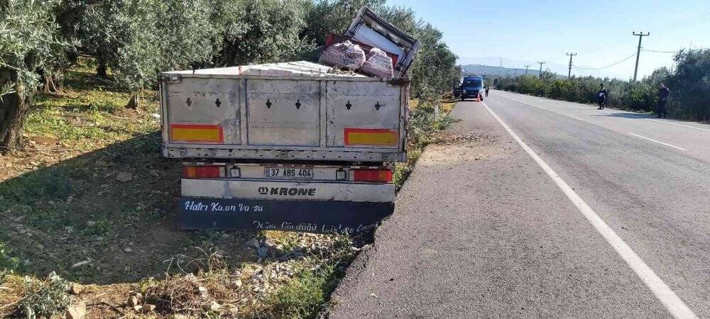 Uyuyan şoför zeytinliğe daldı