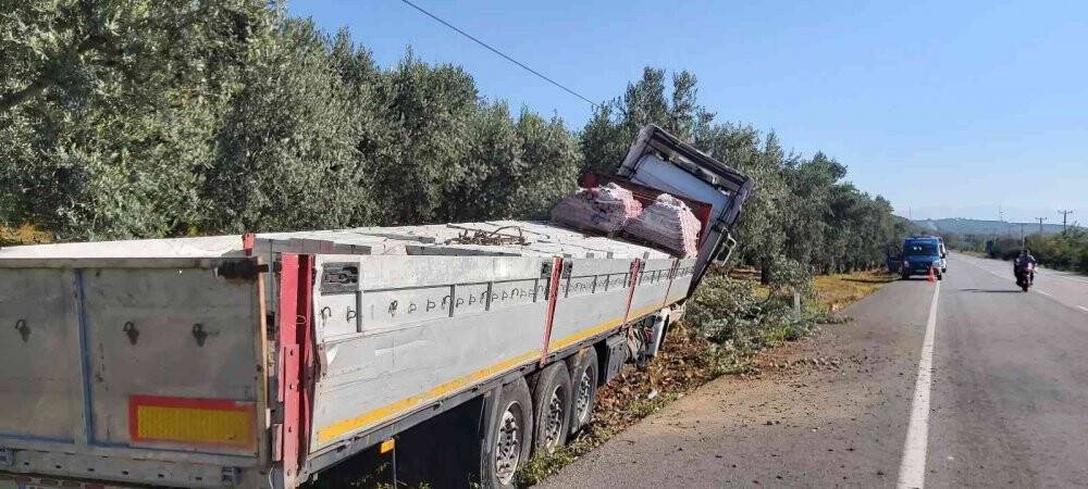 Uyuyan şoför zeytinliğe daldı