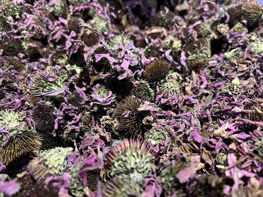 25 derecelik sıcaklık farkı sonucunda aktarlarda yoğunluk oluştu