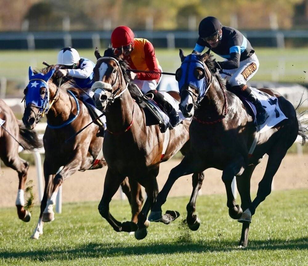 At yarışlarında Cumhuriyet Koşusu yapıldı