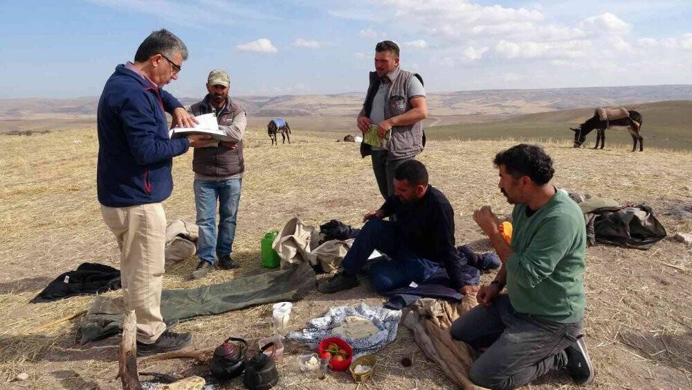 Çobanlık mesleği bilimselleşti
