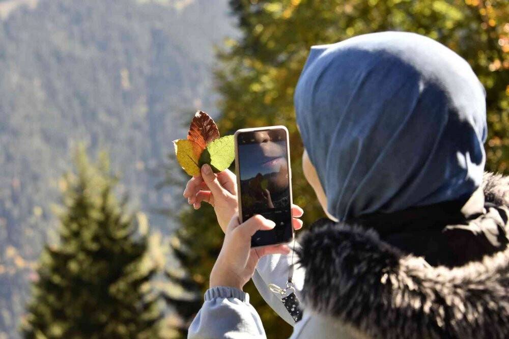 Eşsiz manzarayı görmek için canlı ağaç müzesine akın ettiler