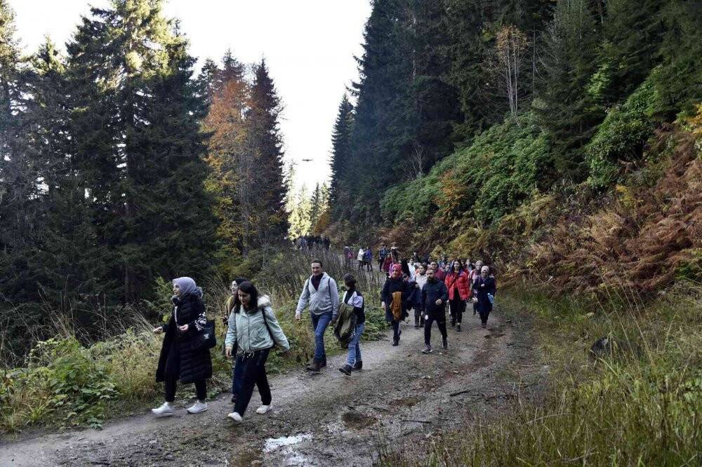 Eşsiz manzarayı görmek için canlı ağaç müzesine akın ettiler