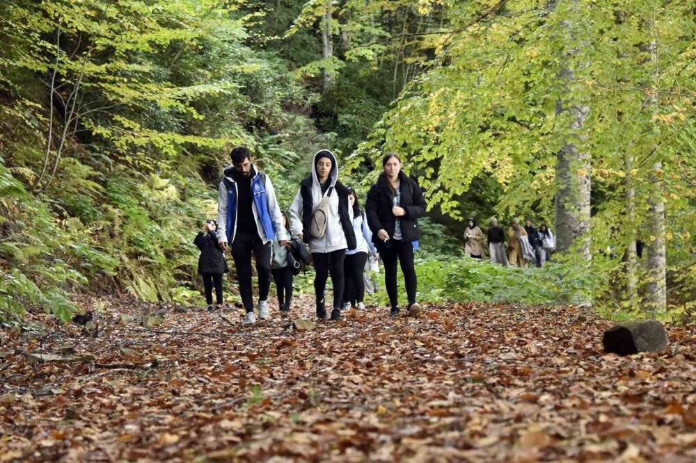 Eşsiz manzarayı görmek için canlı ağaç müzesine akın ettiler