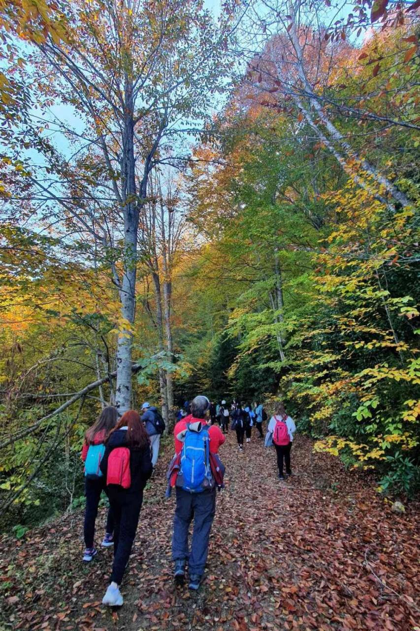 Eşsiz manzarayı görmek için canlı ağaç müzesine akın ettiler