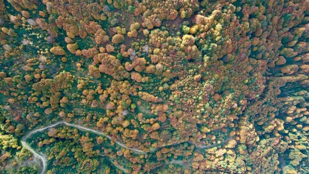 Kocaeli’de sonbahar güzelliği