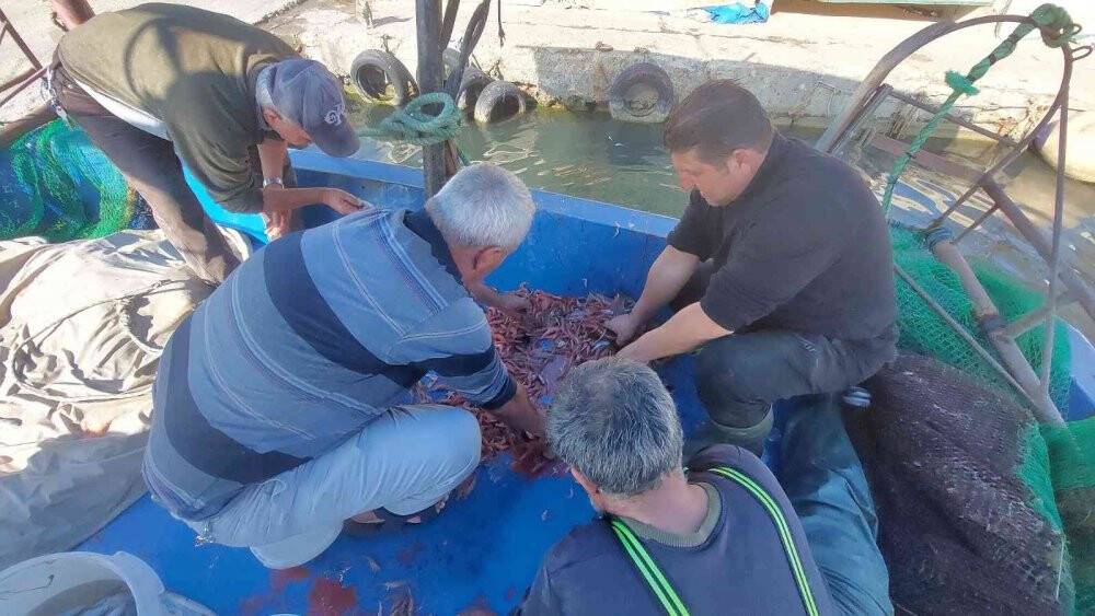 Karadeniz’de palamut, Marmara’da karides