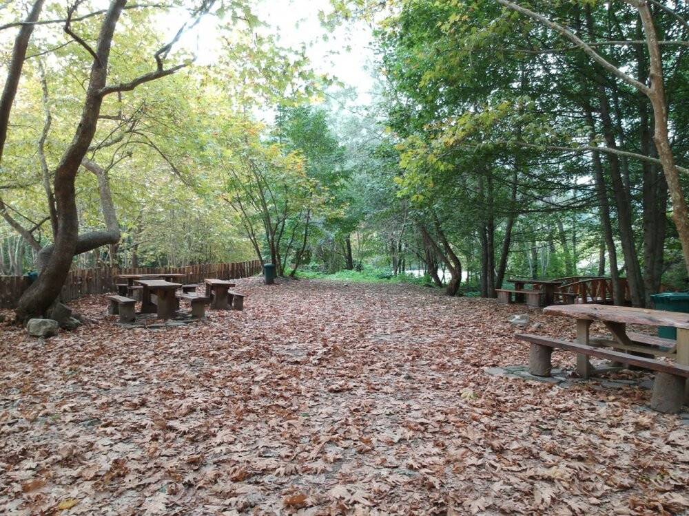 Sinop ormanları renkleriyle büyüledi