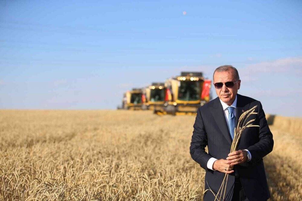 Tahıl koridorunda sevkiyat  başladı