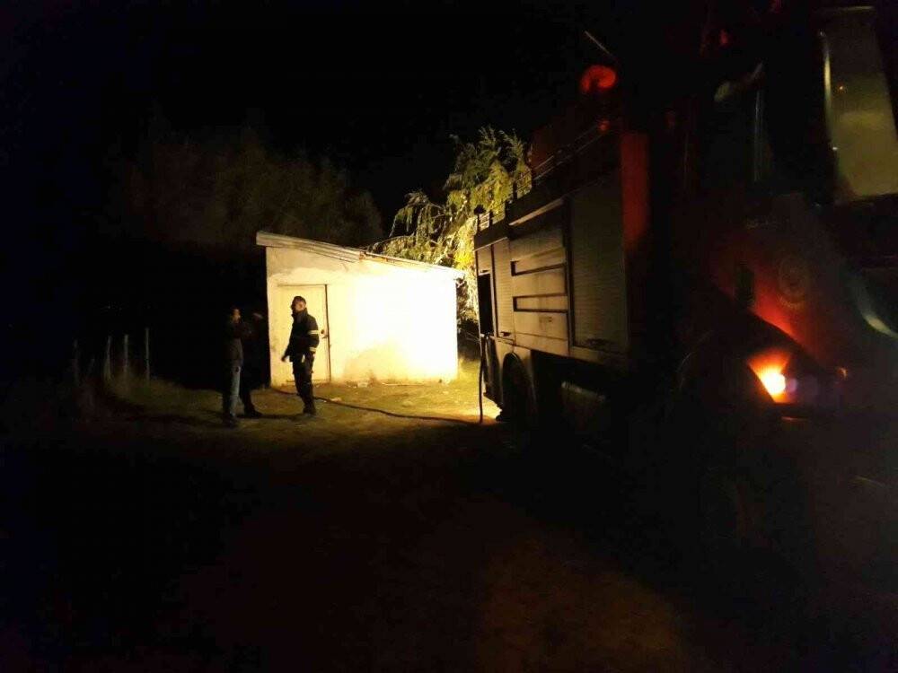 Yanan ağaç, araziye sirayet etmeden söndürüldü