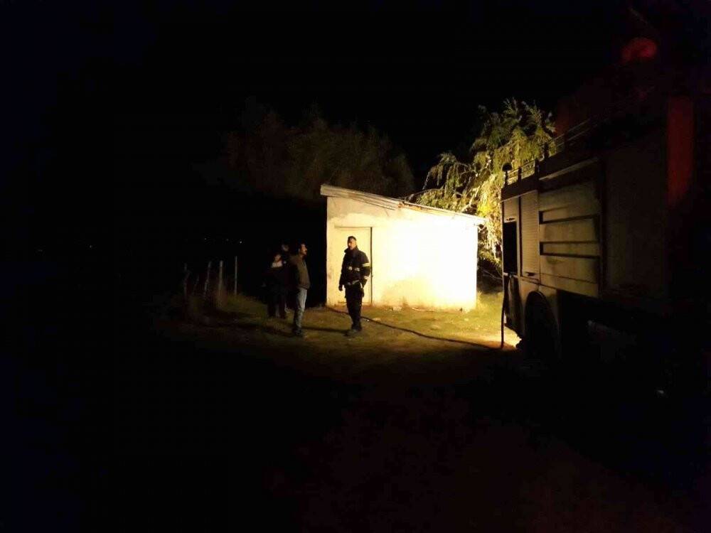 Yanan ağaç, araziye sirayet etmeden söndürüldü