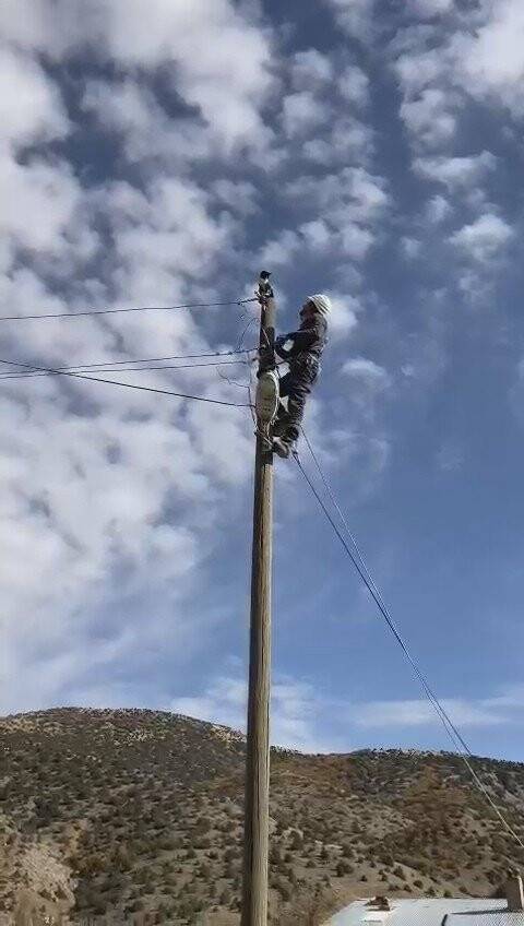 Sevimli kedinin imdadına elektrik dağıtım şirketi görevlileri yetişti