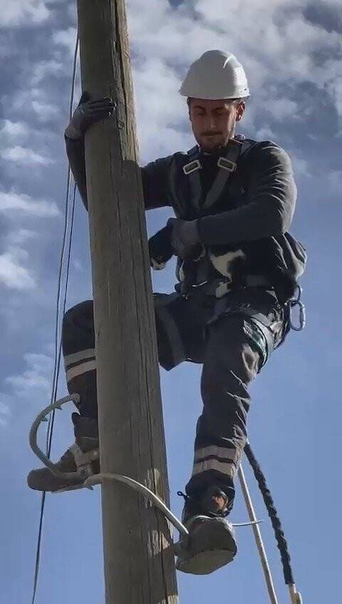 Sevimli kedinin imdadına elektrik dağıtım şirketi görevlileri yetişti