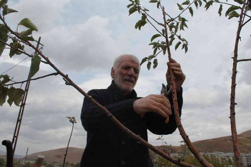 Yıllarca öğrenci yetiştirdi,  emekli olduktan sonra sebze ve tahıl yetiştirmeye başladı