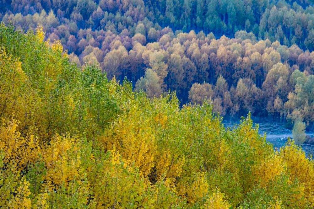 Erciyes Dağı'nın eteklerinde  sonbahar güzelliği