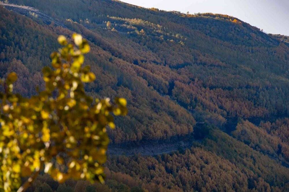 Erciyes Dağı'nın eteklerinde  sonbahar güzelliği