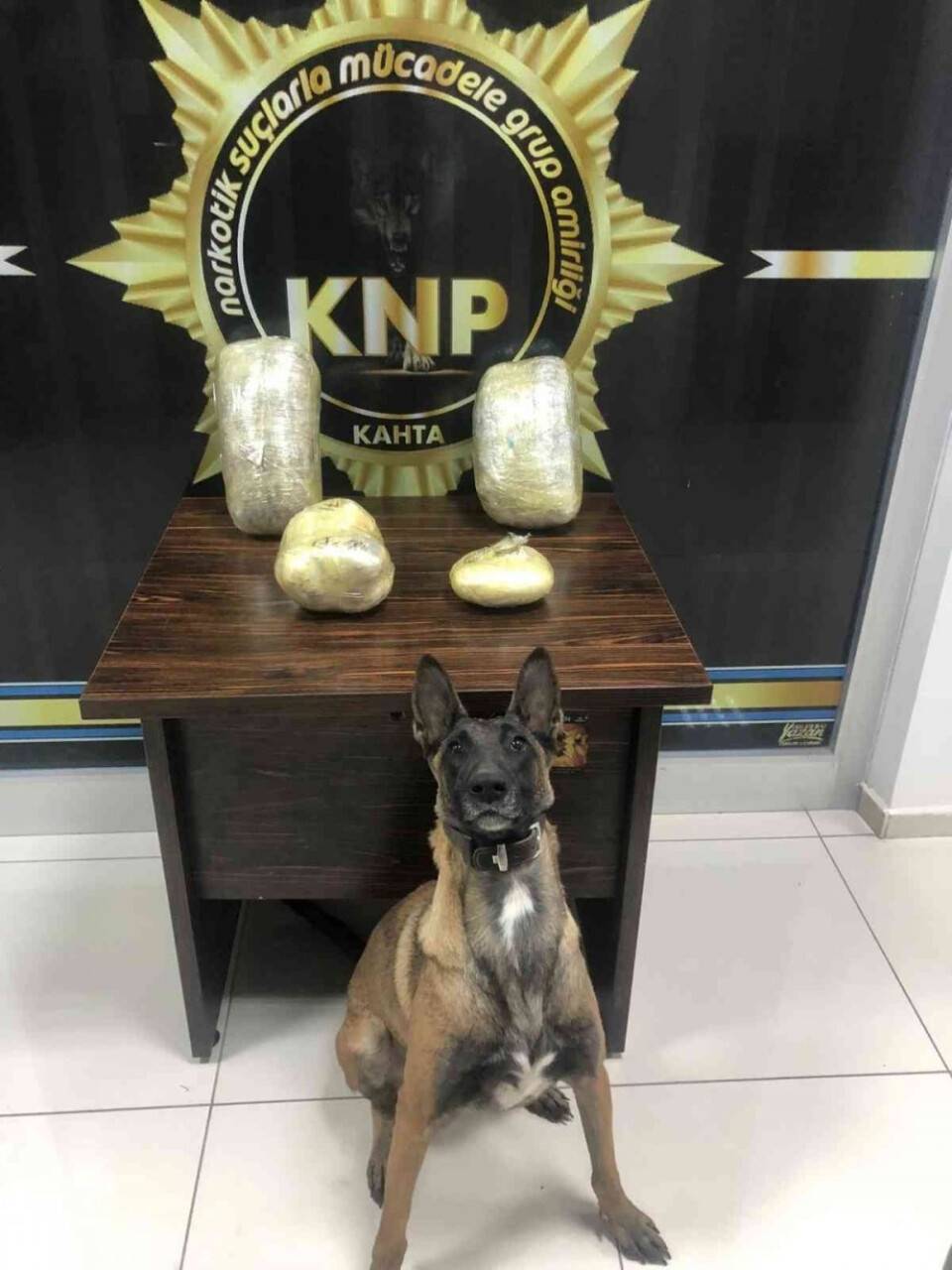 Uyuşturucu operasyonlarında 12 şüpheli tutuklandı