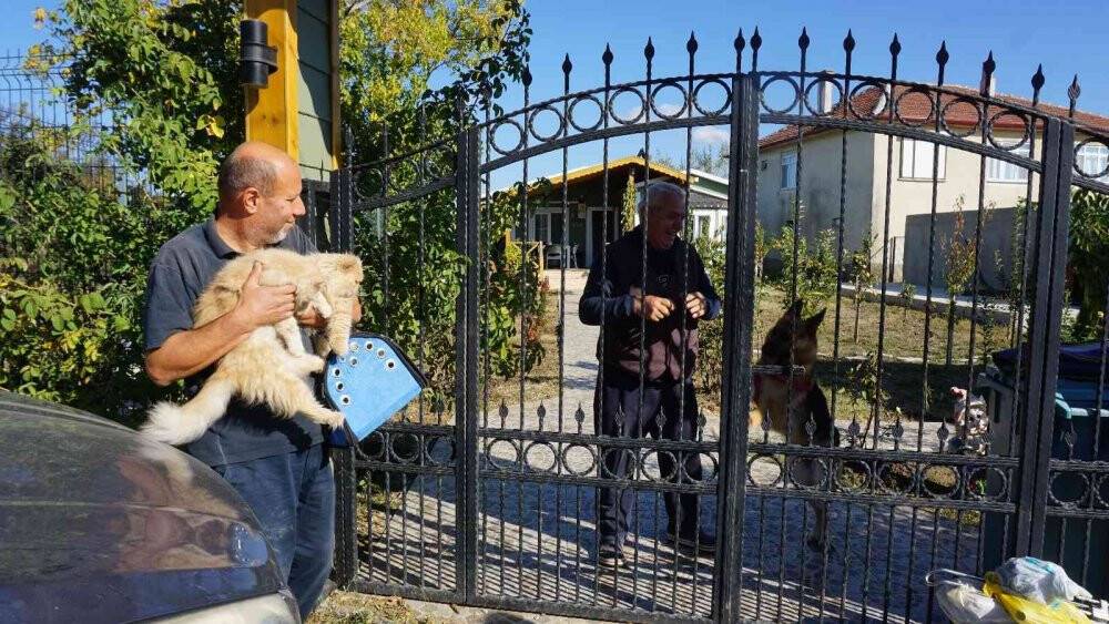 İran kedileriyle hayvan sevgisini aşılıyor