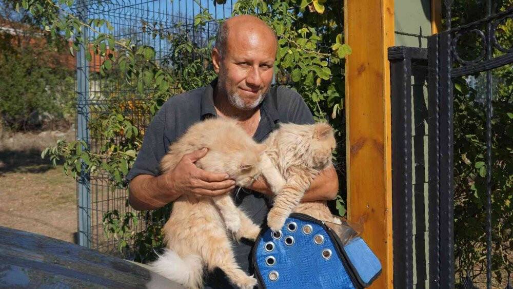 İran kedileriyle hayvan sevgisini aşılıyor