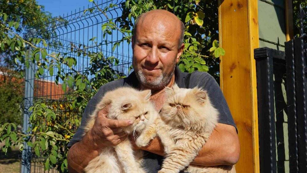 İran kedileriyle hayvan sevgisini aşılıyor