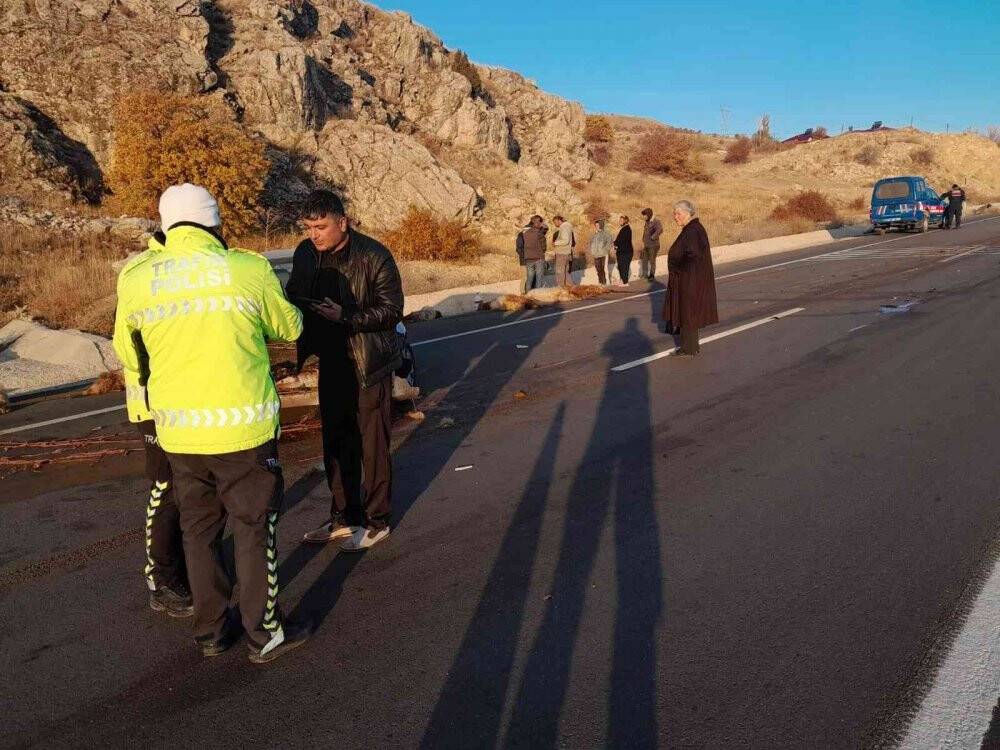 Otomobil sürüye daldı, 18 koyun telef oldu