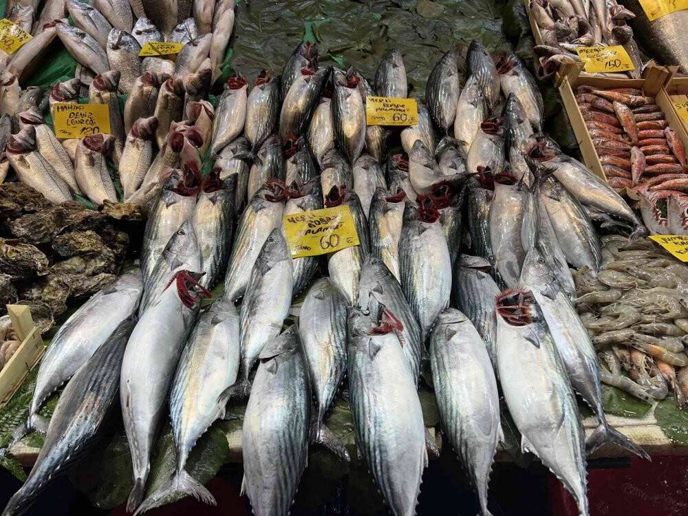 Tezgahlarda balık bolluğu sürüyor