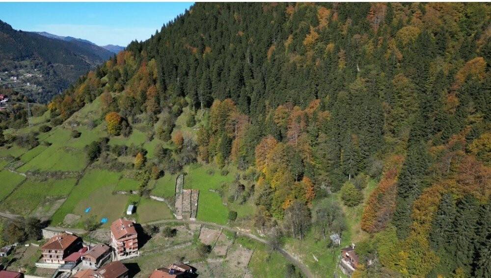 Uzungöl kışında çok güzel