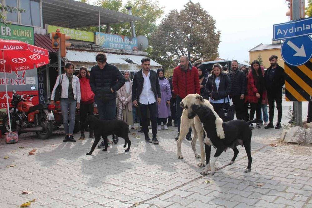 Anlamlı proje ile Şehit Fethi Sekin unutulmadı